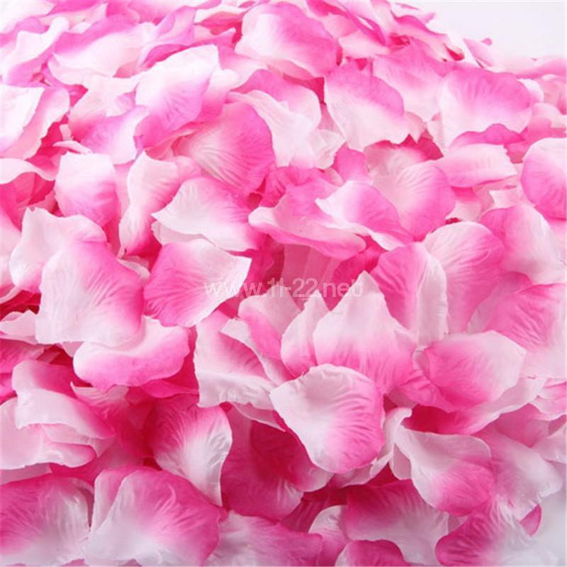 Fuchsia with white rose petals confetti party deco