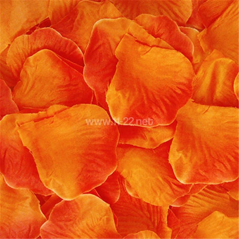 Orange rose petals confetti party deco